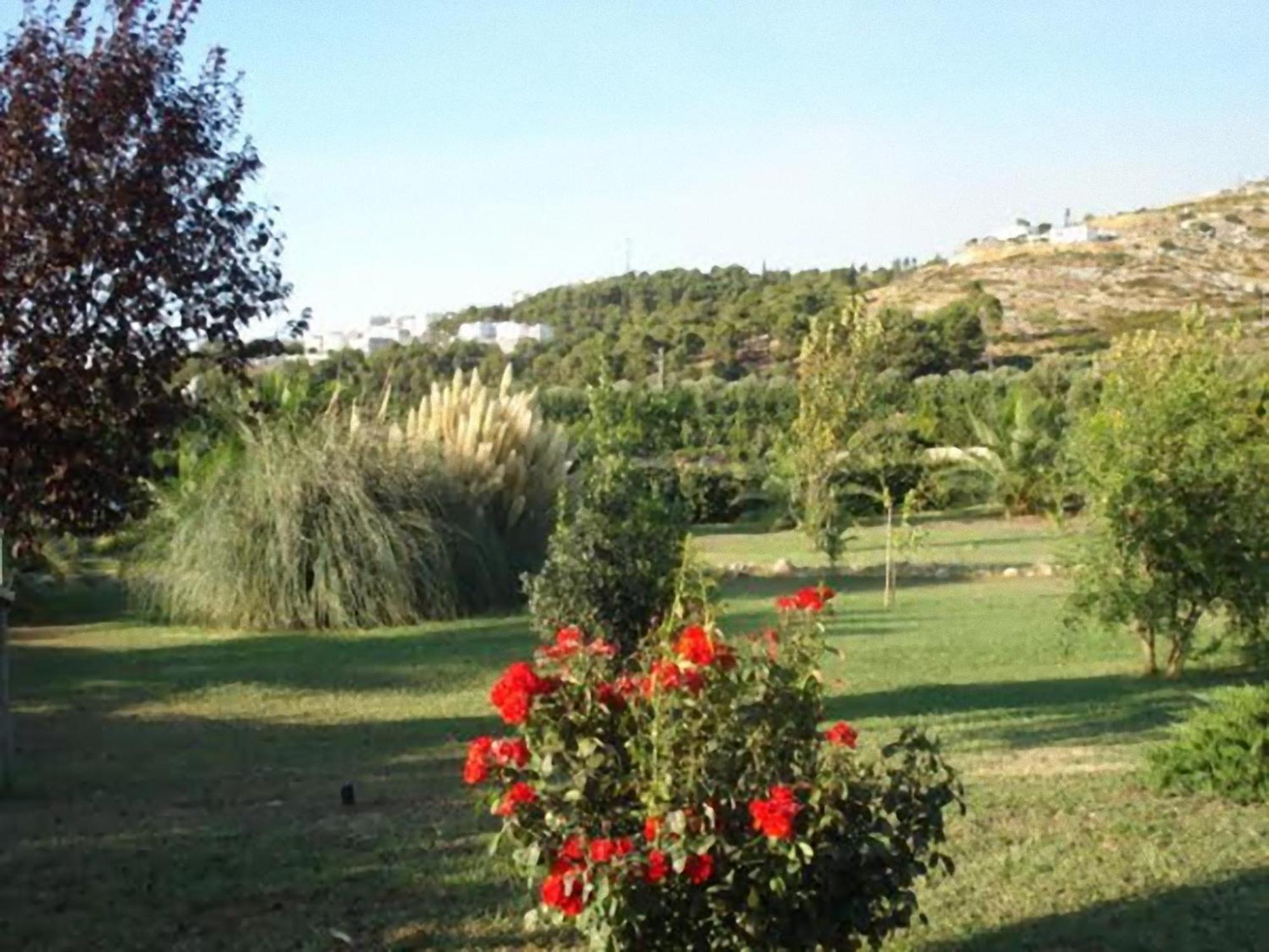 La Piana Di Calena Villa Peschici Kültér fotó