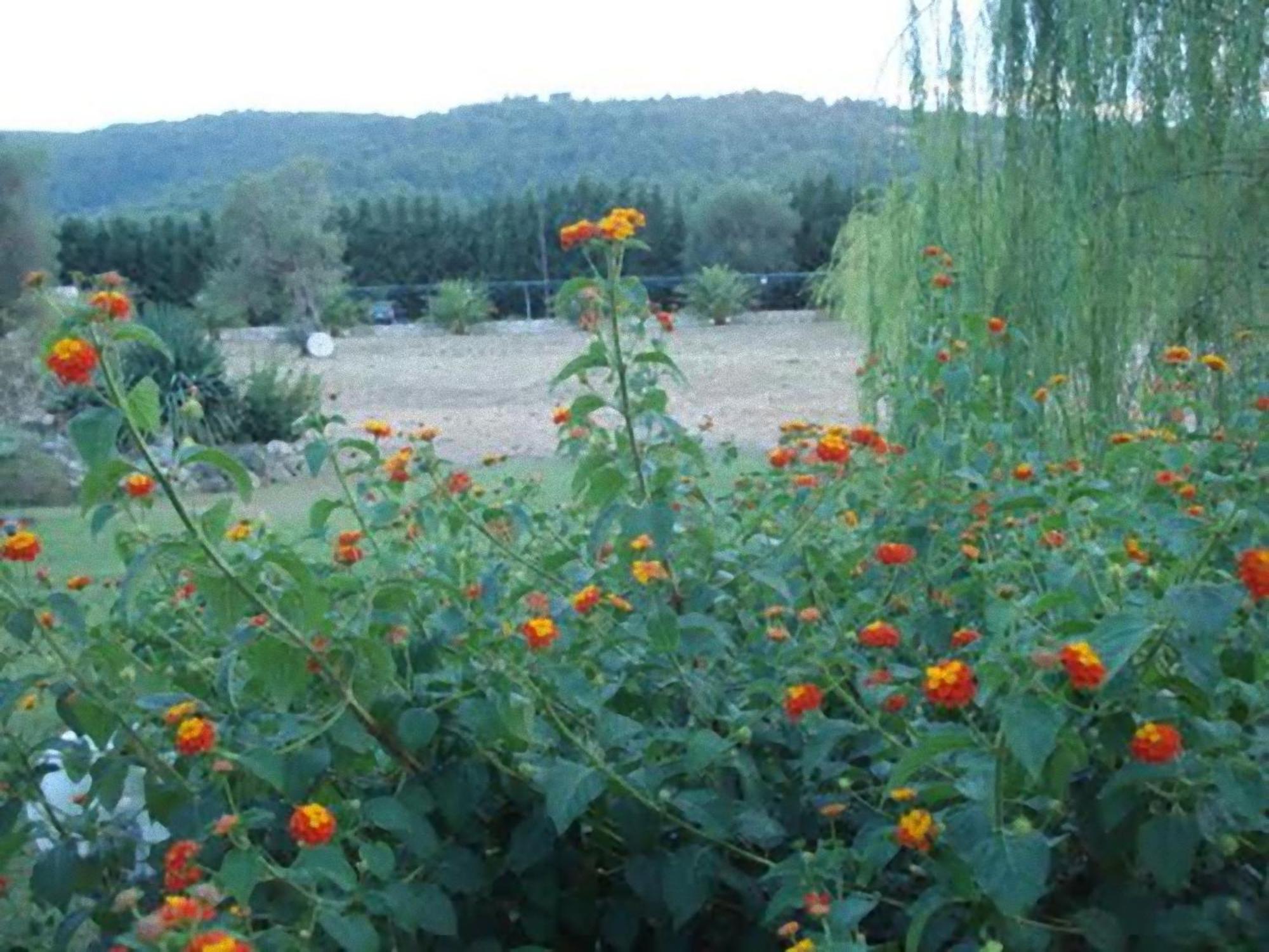 La Piana Di Calena Villa Peschici Kültér fotó