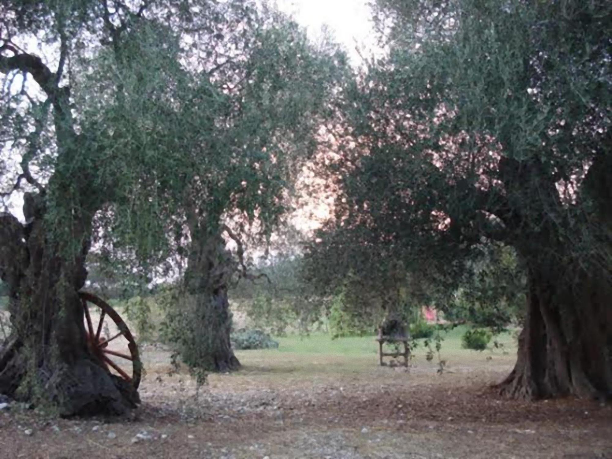 La Piana Di Calena Villa Peschici Kültér fotó