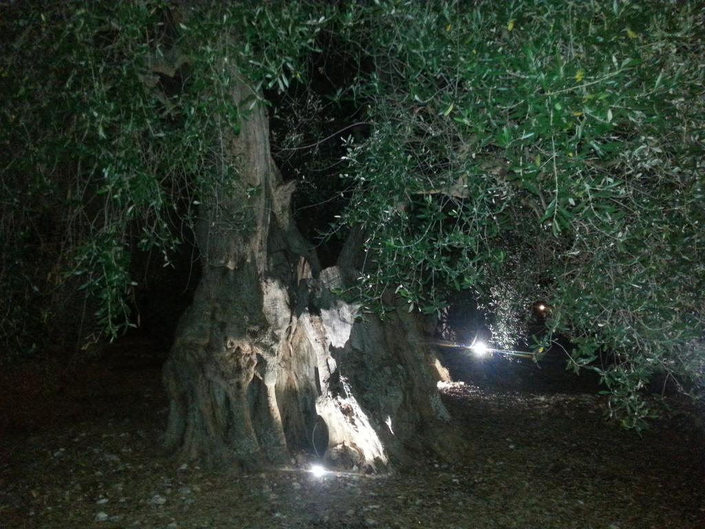 La Piana Di Calena Villa Peschici Kültér fotó