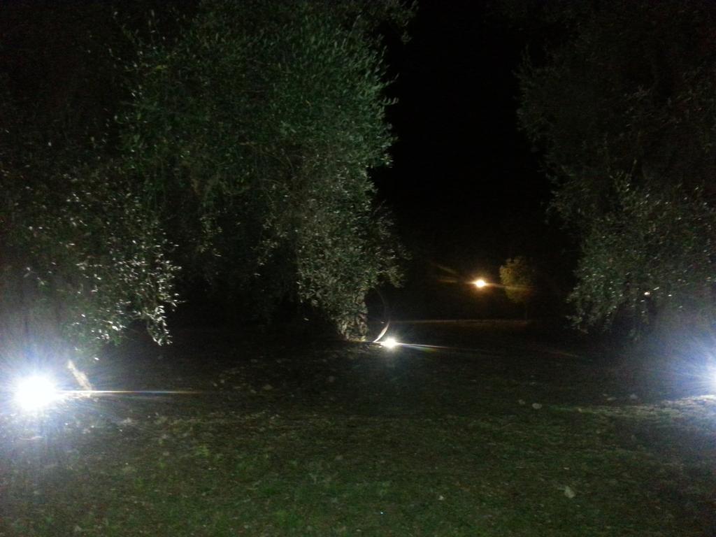 La Piana Di Calena Villa Peschici Kültér fotó