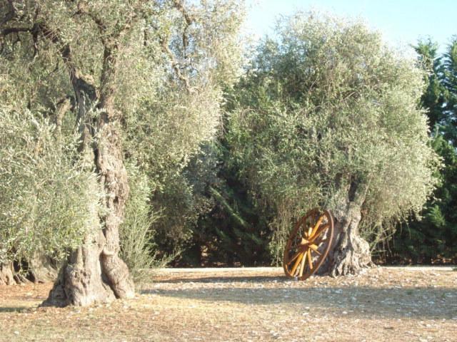 La Piana Di Calena Villa Peschici Szoba fotó
